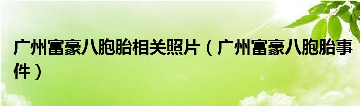 广州富豪八胞胎相关照片（广州富豪八胞胎事件）