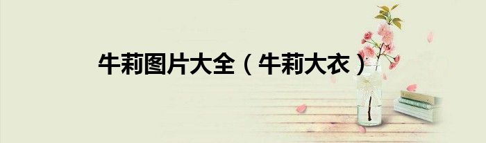 牛莉图片大全（牛莉大衣）
