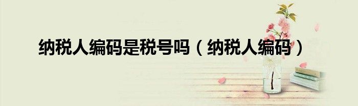 纳税人编码是税号吗（纳税人编码）