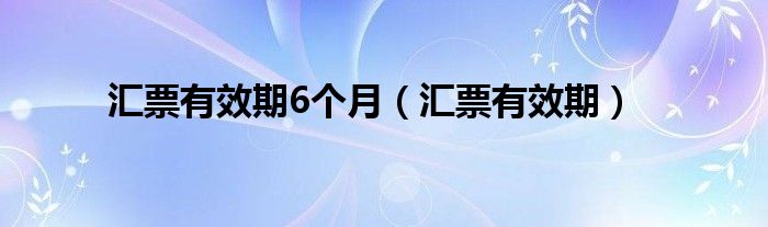 汇票有效期6个月（汇票有效期）