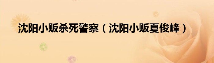 沈阳小贩杀死警察（沈阳小贩夏俊峰）