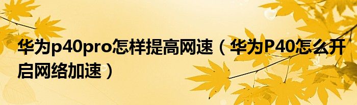 华为p40pro怎样提高网速（华为P40怎么开启网络加速）