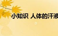 小知识 人体的汗液本身是什么味道的