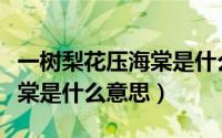 一树梨花压海棠是什么意思啊（一树梨花压海棠是什么意思）