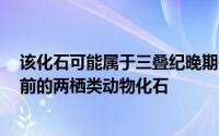 该化石可能属于三叠纪晚期是目前四川省首次发现的2亿年前的两栖类动物化石