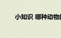小知识 哪种动物的瞳孔是长方形的