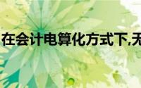 在会计电算化方式下,无户口证明及户口支票()