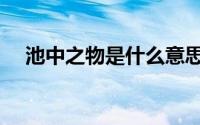 池中之物是什么意思（池中之物的含义）