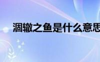 涸辙之鱼是什么意思（涸辙之鱼的含义）