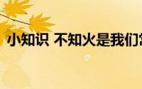 小知识 不知火是我们常吃的哪种水果的学名