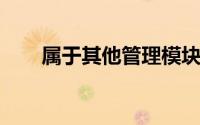 属于其他管理模块的下列选项中,是()