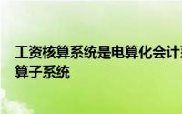 工资核算系统是电算化会计系统()中一个相对独立的专用核算子系统