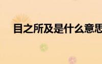 目之所及是什么意思（目之所及的含义）