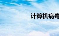 计算机病毒是()的一种