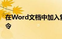 在Word文档中加入复杂的数学公式,执行()命令