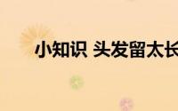 小知识 头发留太长会和身体抢营养吗
