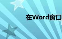 在Word窗口中,用户不能()