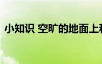 小知识 空旷的地面上和高楼之间哪里风更大