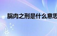 脶肉之刑是什么意思（什么是脶肉之刑）