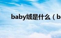 baby绒是什么（baby绒是什么面料）