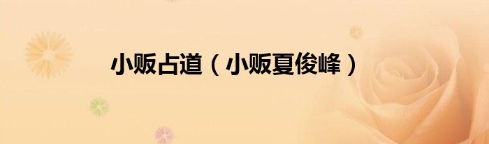 小贩占道（小贩夏俊峰）