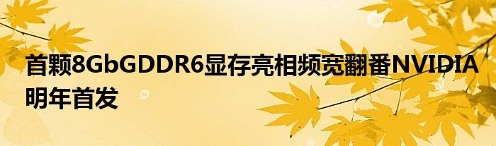首颗8GbGDDR6显存亮相频宽翻番NVIDIA明年首发