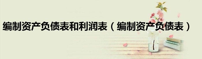 编制资产负债表和利润表（编制资产负债表）