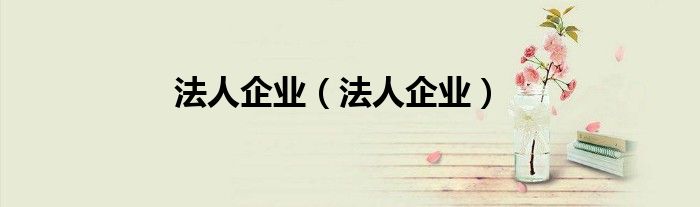 法人企业（法人企业）
