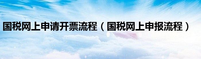国税网上申请开票流程（国税网上申报流程）