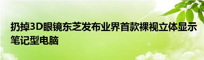扔掉3D眼镜东芝发布业界首款裸视立体显示笔记型电脑