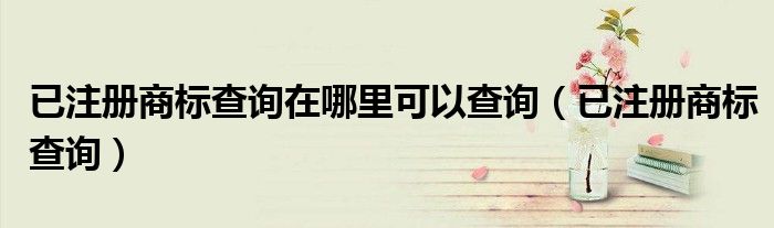 已注册商标查询在哪里可以查询（已注册商标查询）