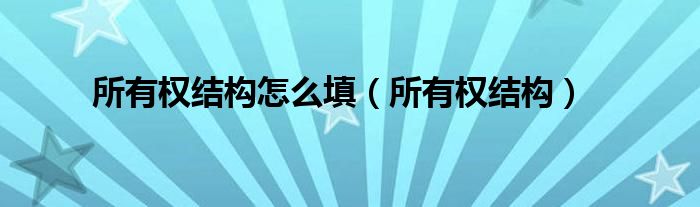 所有权结构怎么填（所有权结构）