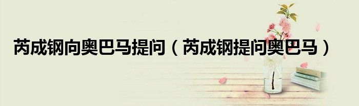 芮成钢向奥巴马提问（芮成钢提问奥巴马）