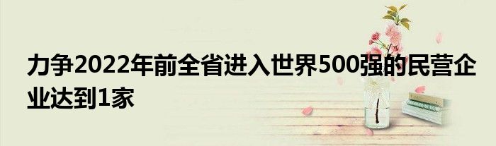 力争2022年前全省进入世界500强的民营企业达到1家