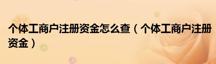 个体工商户注册资金怎么查（个体工商户注册资金）