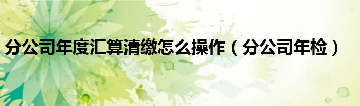 分公司年度汇算清缴怎么操作（分公司年检）