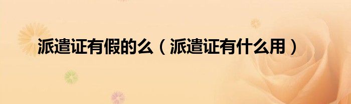 派遣证有假的么（派遣证有什么用）