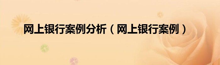 网上银行案例分析（网上银行案例）
