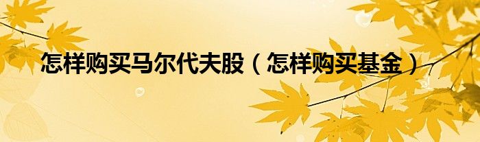怎样购买马尔代夫股（怎样购买基金）