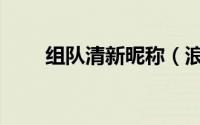 组队清新昵称（浪漫清新组队昵称）