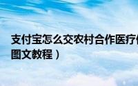支付宝怎么交农村合作医疗保险（支付宝app快速缴社保的图文教程）
