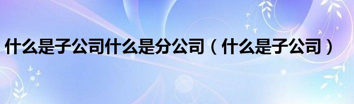 什么是子公司什么是分公司（什么是子公司）