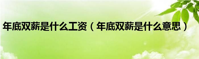 年底双薪是什么工资（年底双薪是什么意思）