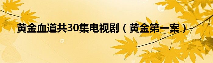 黄金血道共30集电视剧（黄金第一案）