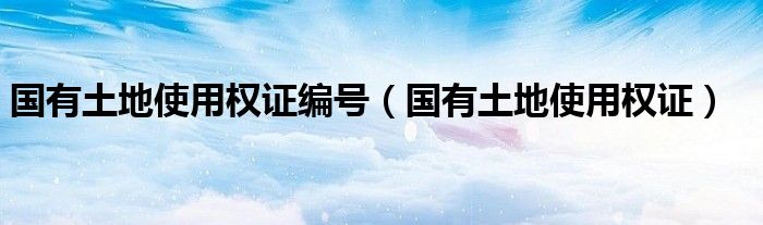 国有土地使用权证编号（国有土地使用权证）