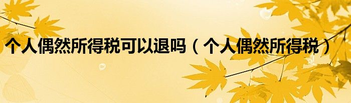 个人偶然所得税可以退吗（个人偶然所得税）