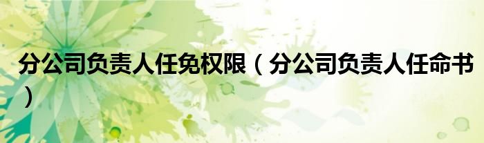 分公司负责人任免权限（分公司负责人任命书）