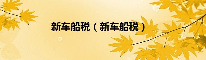 新车船税（新车船税）