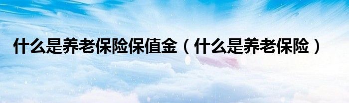什么是养老保险保值金（什么是养老保险）