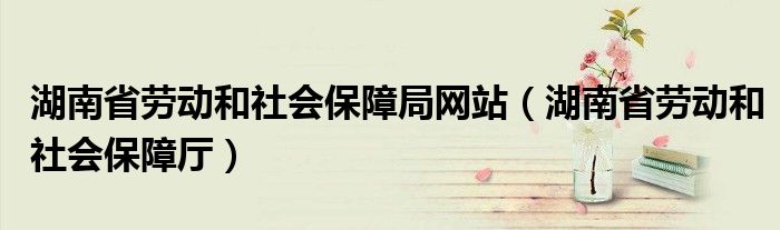 湖南省劳动和社会保障局网站（湖南省劳动和社会保障厅）